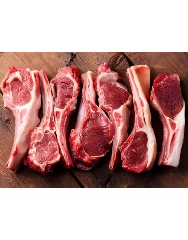 whatsapp_image_2026-02-24_at_23_22_57